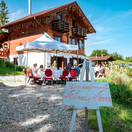 Tulean Cabin Săcel Esterno foto