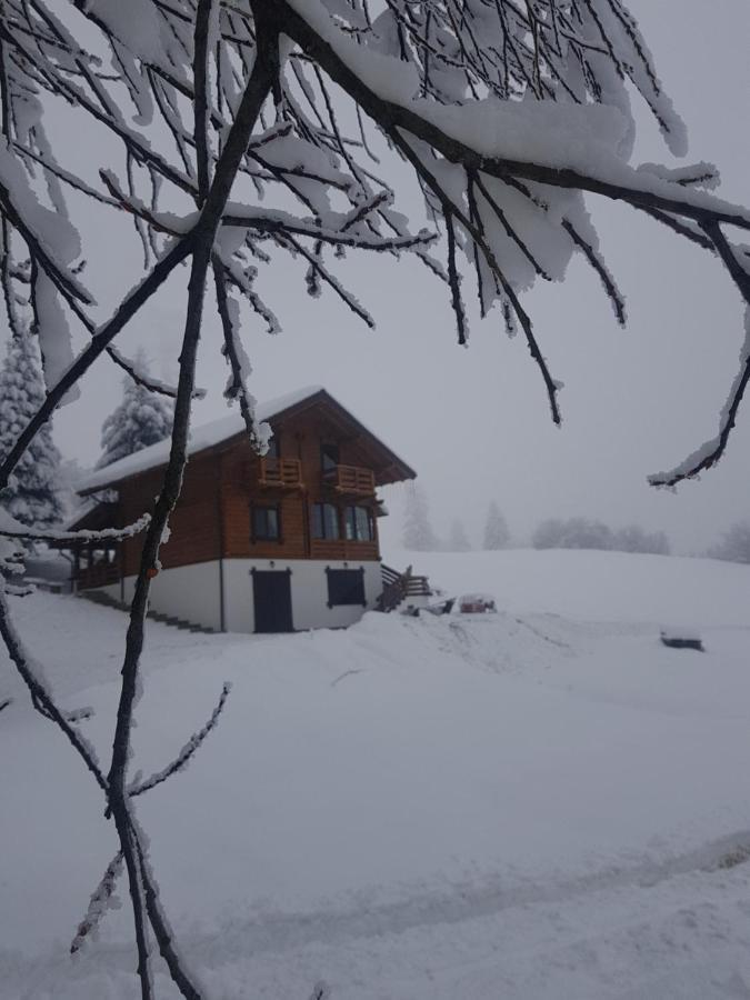 Tulean Cabin Săcel Esterno foto