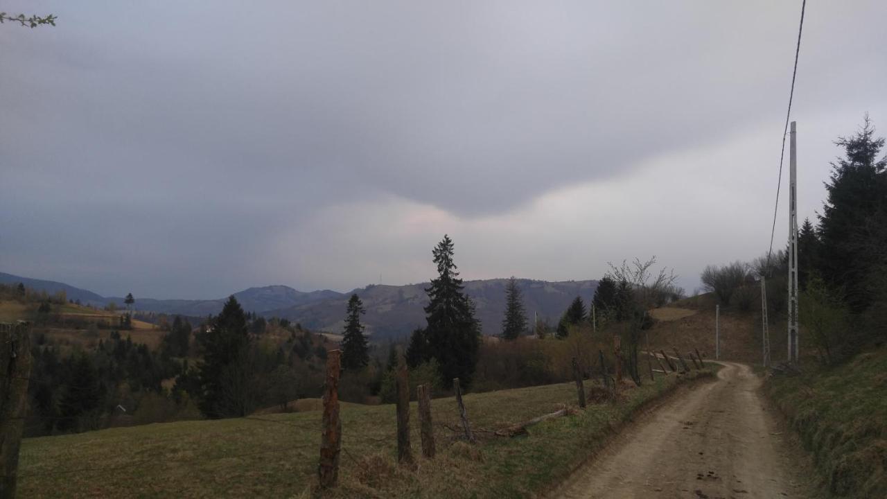 Tulean Cabin Săcel Esterno foto