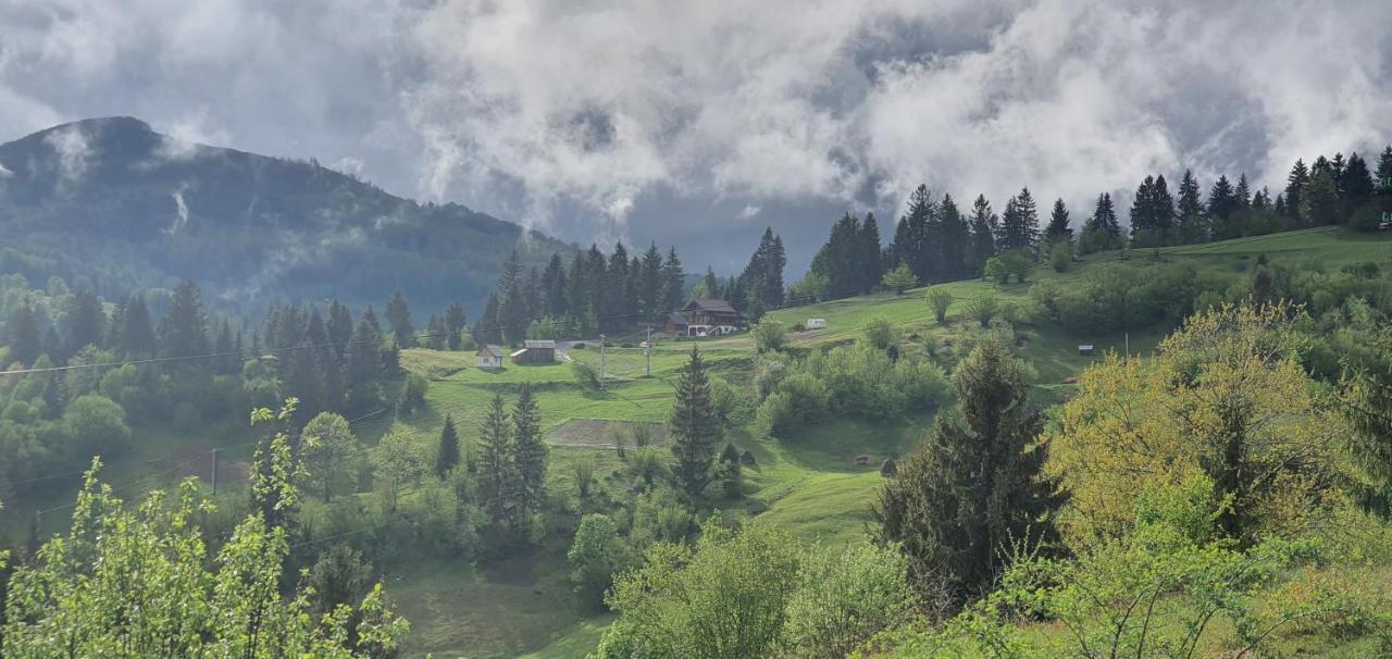 Tulean Cabin Săcel Esterno foto