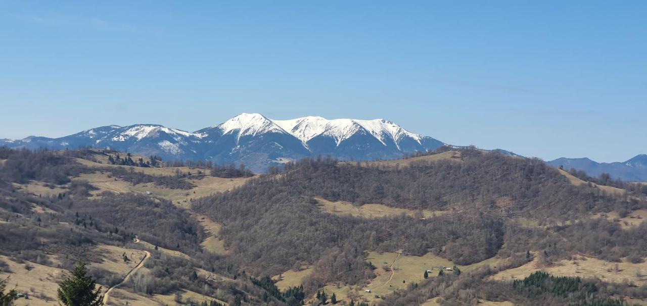 Tulean Cabin Săcel Esterno foto