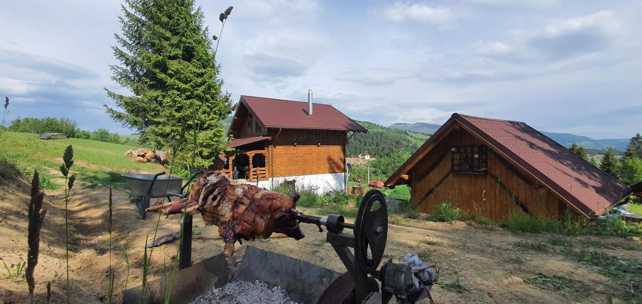 Tulean Cabin Săcel Esterno foto